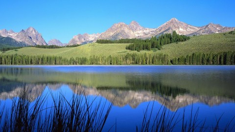 湖光山色映翠微