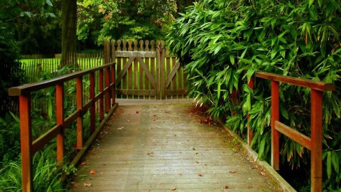 碧海长椅静享时光：一幅治愈心灵的宁静画卷