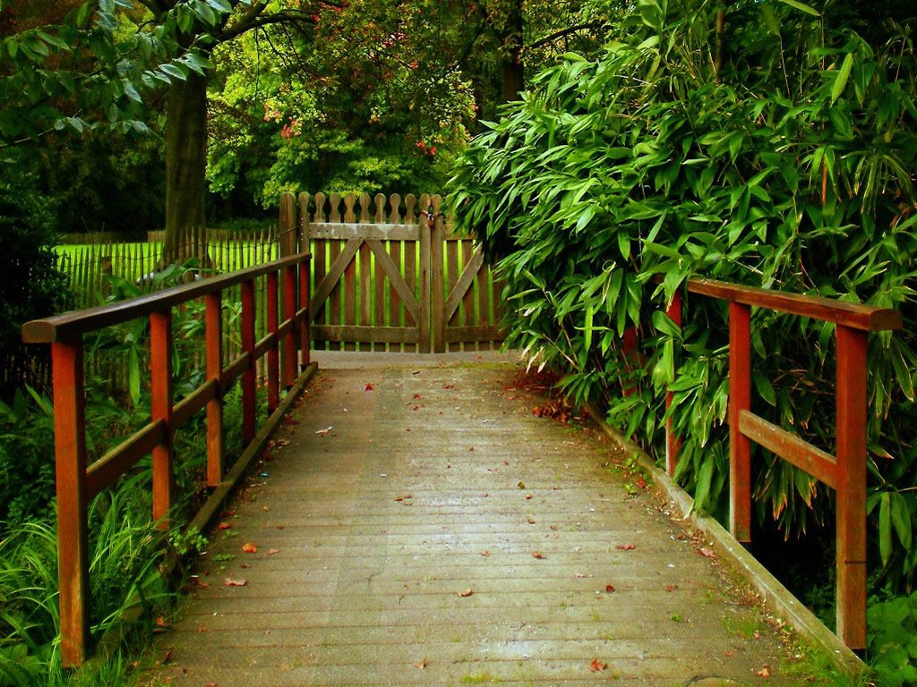 一张面向蔚蓝海湾的木质长椅静静安放在青翠山坡上，远方的海岸线与无云的晴空在天际交汇，构成一幅让人心旷神怡的宁静画卷。