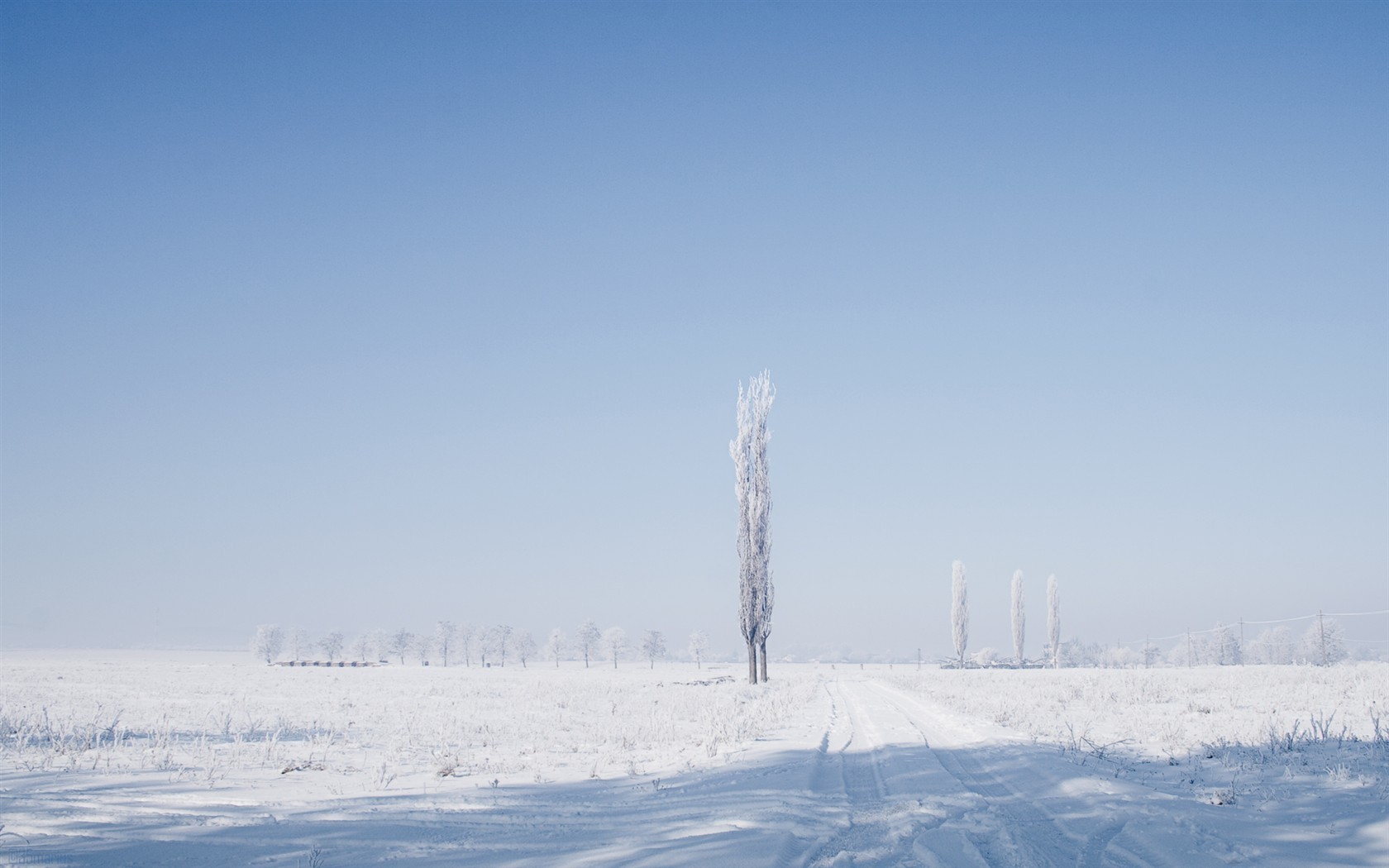 冬日山谷中，厚厚的新雪覆盖松林与小木屋，清晨阳光穿透冷冽空气，在雪地上投下温暖的光斑，宛如童话世界