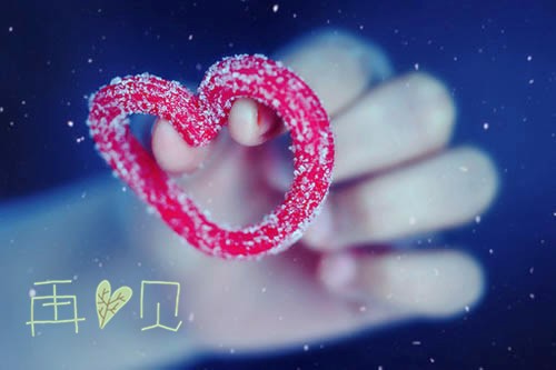 粉色心形花海中的爱情誓言，花瓣轻舞如诗如画